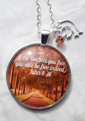 If the Son sets you free, you will be free indeed / John 8 36 / Bible verse necklace/ Dove charm / Venus Crystal Bicone bead